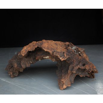 古木瘤木 篆刻看板　X118 