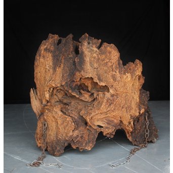 古木瘤木 篆刻看板　X118 