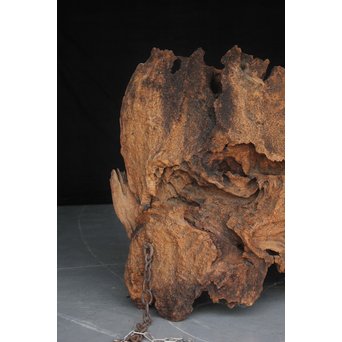 古木瘤木 篆刻看板　X118 