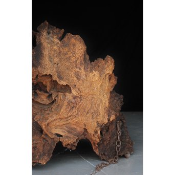 古木瘤木 篆刻看板　X118 