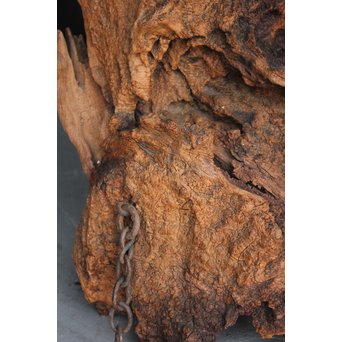 古木瘤木 篆刻看板　X118 