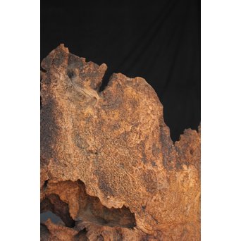 古木瘤木 篆刻看板　X118 