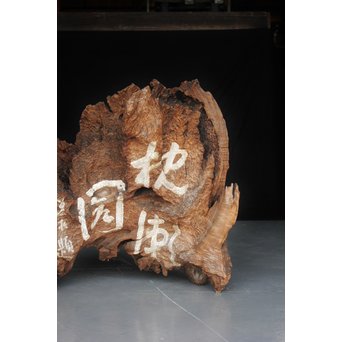 古木瘤木 篆刻看板　X118 