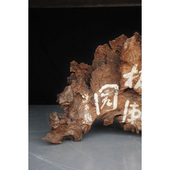 古木瘤木 篆刻看板　X118 