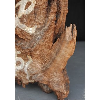 古木瘤木 篆刻看板　X118 