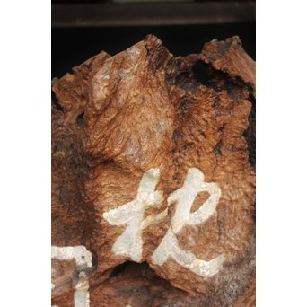 古木瘤木 篆刻看板　X118 