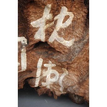 古木瘤木 篆刻看板　X118 