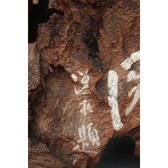 古木瘤木 篆刻看板　X118 