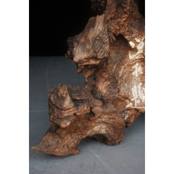 古木瘤木 篆刻看板　X118 