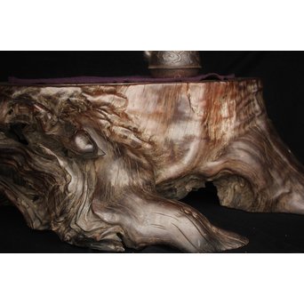 桑原木  自然木 刳貫火鉢　X119 