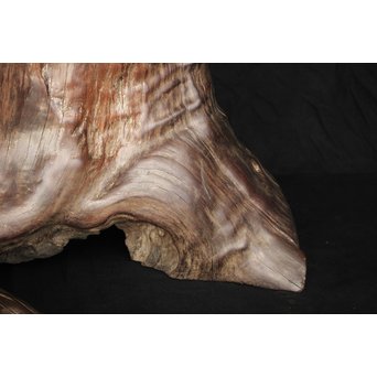 桑原木  自然木 刳貫火鉢　X119 