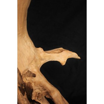 白檀自然木　X120 