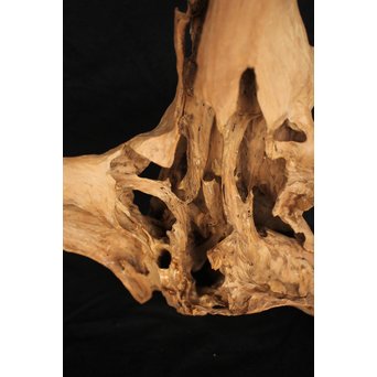 白檀自然木　X120 