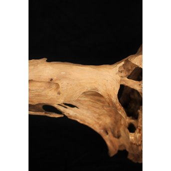 白檀自然木　X120 