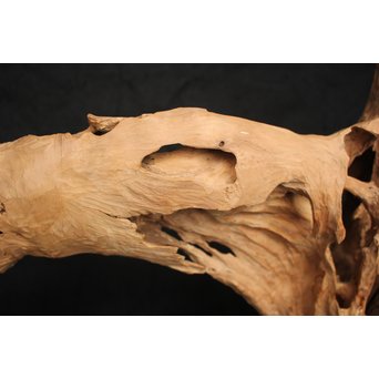 白檀自然木　X120 