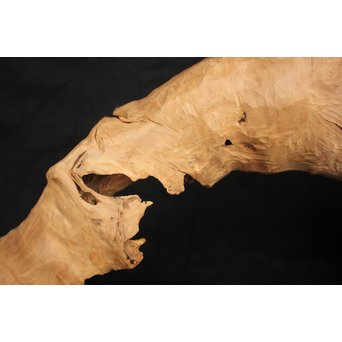 白檀自然木　X120 