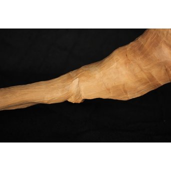 白檀自然木　X120 