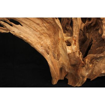 白檀自然木　X120 