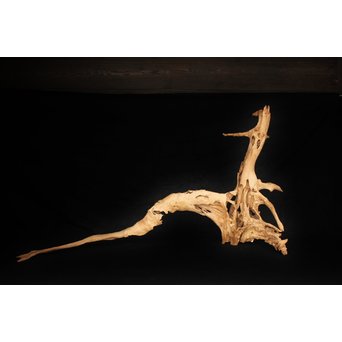 白檀自然木　X120