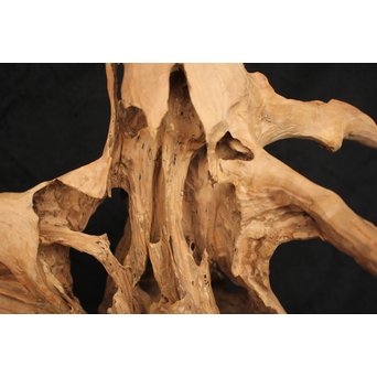 白檀自然木　X120 