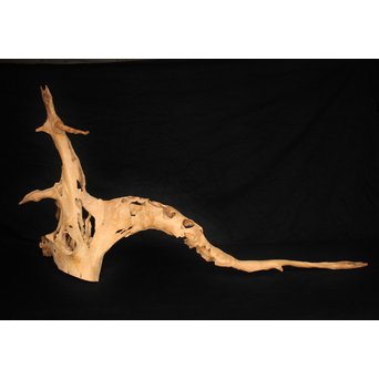 白檀自然木　X120 