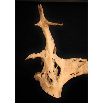 白檀自然木　X120 