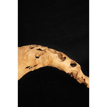 白檀自然木　X120 