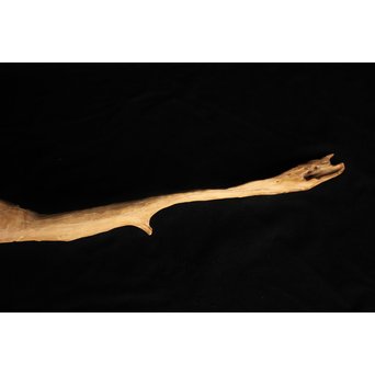 白檀自然木　X120 