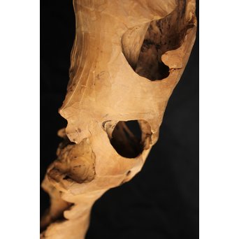 白檀自然木　X120 