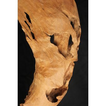 白檀自然木　X120 