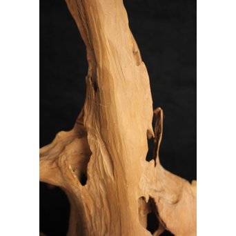 白檀自然木　X120 