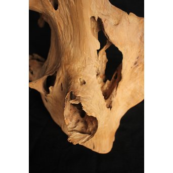 白檀自然木　X120 