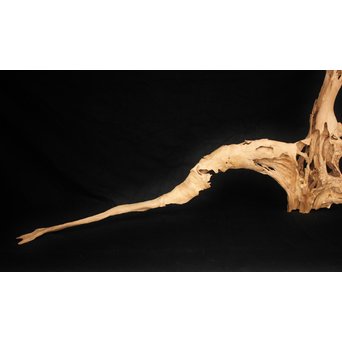 白檀自然木　X120 