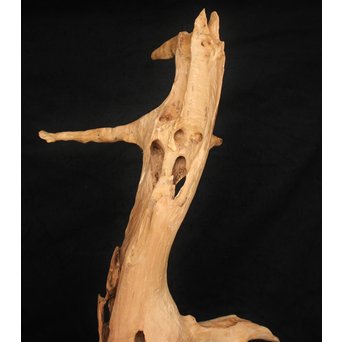 白檀自然木　X120 