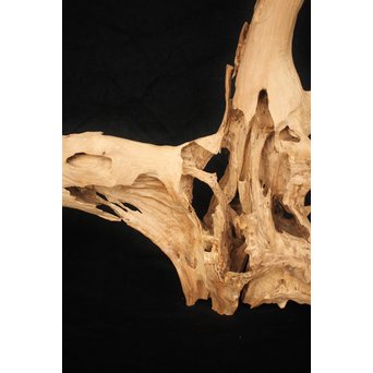 白檀自然木　X120 