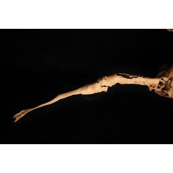 白檀自然木　X120 