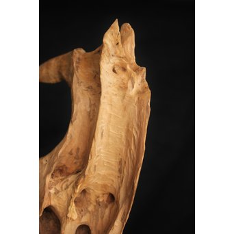 白檀自然木　X120 