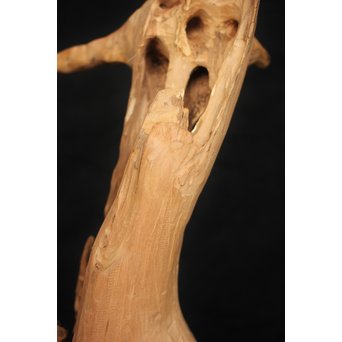 白檀自然木　X120 