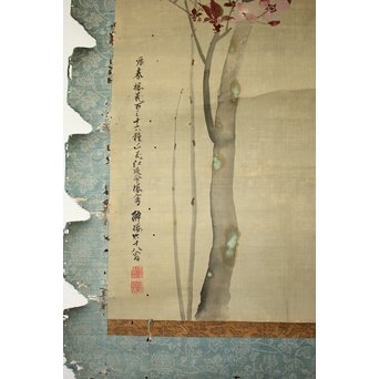 酔桜/醉櫻/醉翁 桜の画 掛軸　Z093 