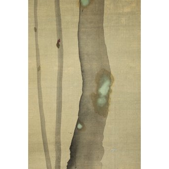 酔桜/醉櫻/醉翁 桜の画 掛軸　Z093 