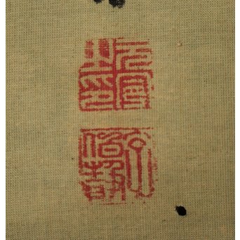 酔桜/醉櫻/醉翁 桜の画 掛軸　Z093 