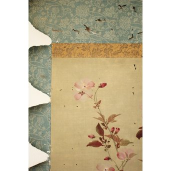 酔桜/醉櫻/醉翁 桜の画 掛軸　Z093 