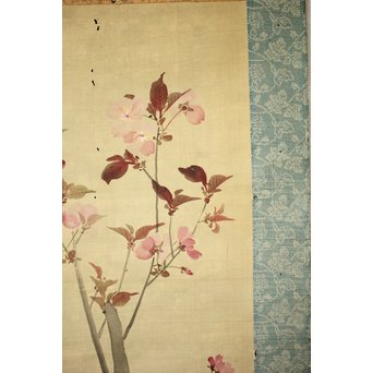 酔桜/醉櫻/醉翁 桜の画 掛軸　Z093 
