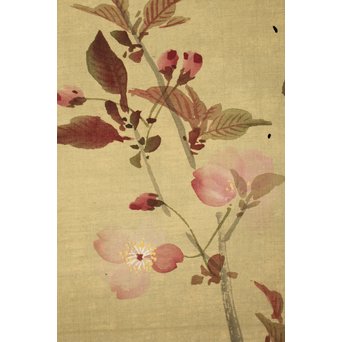 酔桜/醉櫻/醉翁 桜の画 掛軸　Z093 