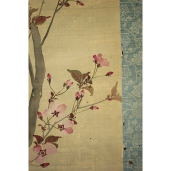 酔桜/醉櫻/醉翁 桜の画 掛軸　Z093 