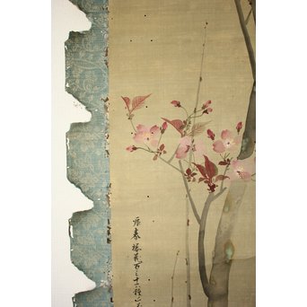 酔桜/醉櫻/醉翁 桜の画 掛軸　Z093 