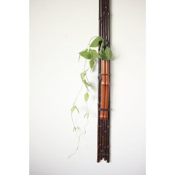 二代 田辺竹雲斎 紫竹垂撥(すいはつ) 短冊色紙扇子兼用　U078 香筒を花生けとして使いました