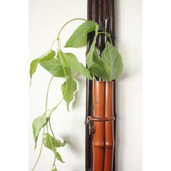 二代 田辺竹雲斎 紫竹垂撥(すいはつ) 短冊色紙扇子兼用　U078 