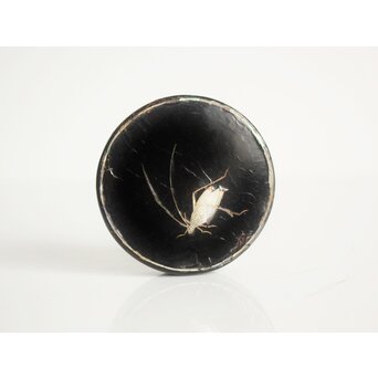 唐物 淡々斎極箱 青貝螺鈿鈴虫香合　Q058