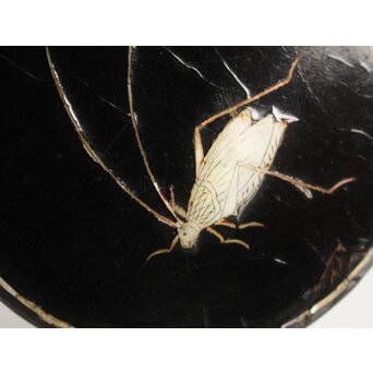 唐物 淡々斎極箱 青貝螺鈿鈴虫香合　Q058 